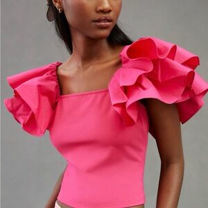 NWT Anthropologie Sundays In Brooklyn Ruffle Sleeve Top